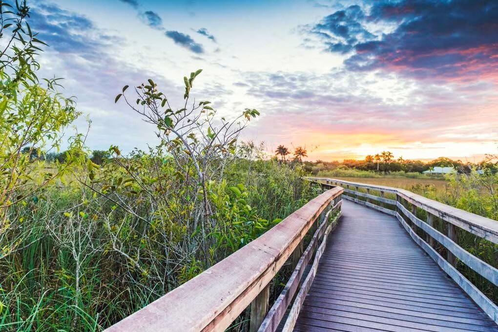 Wetlands